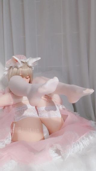 迎风的青春在线观看全集免费