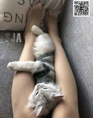 秋霞理论电影网