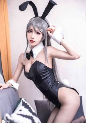 色猪