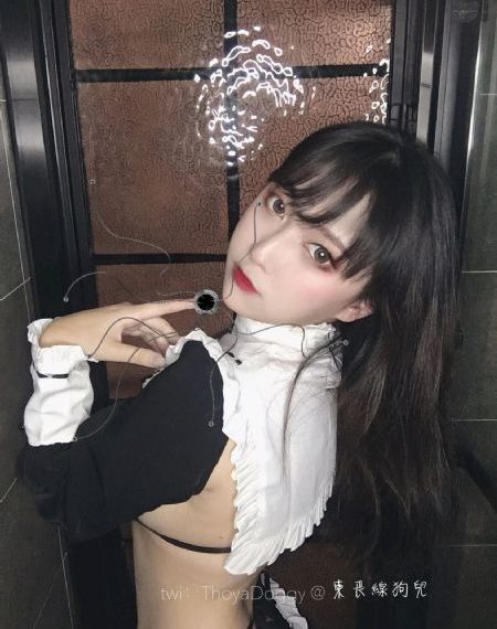 蝉的拼音