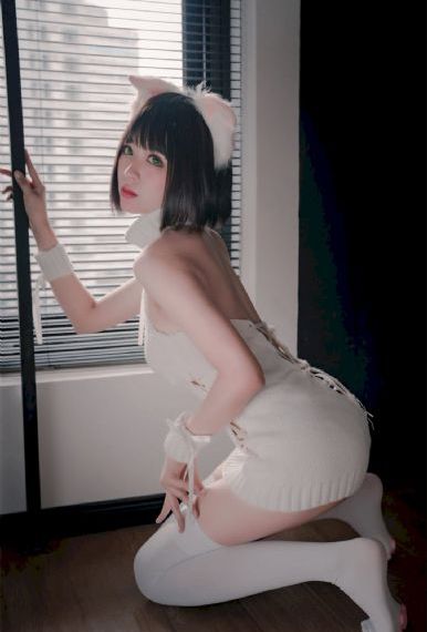 小鸡不好惹动画片免费观看