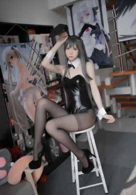 瓢虫少女第五季中文版