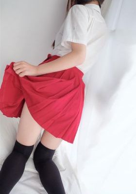 湘西剿匪记