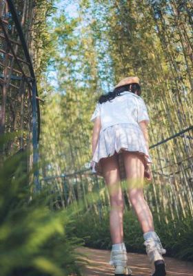 藏海花电视剧在线播放